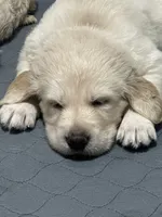 processed/e106124c-f424-4e19-8aab-b8c93ab111ab/facility/d06c5abb-dd6a-4a14-9629-2c3bd3253477