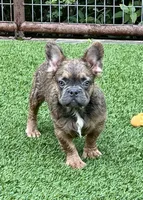 processed/e113c509-0d19-48c4-8182-460cbfa0ff1b/listing/b0f35d9f-750b-4205-b339-da44740fead7/8a3f8092-8ae5-4c6d-8979-8ae492df695c