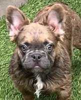 processed/e113c509-0d19-48c4-8182-460cbfa0ff1b/listing/b0f35d9f-750b-4205-b339-da44740fead7/8be6e773-f660-4090-9424-5d798265a4f3