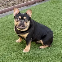 processed/e113c509-0d19-48c4-8182-460cbfa0ff1b/listing/d32b3a2c-85f8-4ef5-a08f-117de66453f8/03ec928b-9d32-457d-ae13-8ee61ed2a609