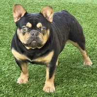 processed/e113c509-0d19-48c4-8182-460cbfa0ff1b/listing/d32b3a2c-85f8-4ef5-a08f-117de66453f8/1736cc46-945e-48f3-935b-86d6c1471982