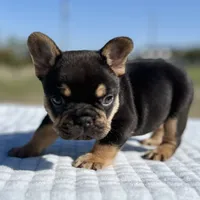 processed/e113c509-0d19-48c4-8182-460cbfa0ff1b/listing/d32b3a2c-85f8-4ef5-a08f-117de66453f8/56ea0645-f1e8-4da5-a348-ce5bb235f670