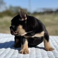 processed/e113c509-0d19-48c4-8182-460cbfa0ff1b/listing/d32b3a2c-85f8-4ef5-a08f-117de66453f8/7243fb41-c35f-4006-b94e-952503df83ba