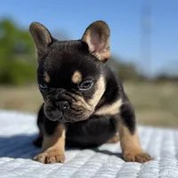 processed/e113c509-0d19-48c4-8182-460cbfa0ff1b/listing/d32b3a2c-85f8-4ef5-a08f-117de66453f8/7e8e96e1-5c8a-4f51-924a-3bb98bd13bc0