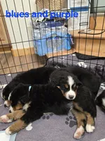 processed/e11494be-843b-42f1-a857-c2a6824a968c/listing/c2d839a1-0a2b-40e4-bf33-06305bcfeaab/31cda7bc-87dd-4cde-95fc-d4fd3a5e3896