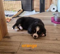 processed/e11494be-843b-42f1-a857-c2a6824a968c/listing/c2d839a1-0a2b-40e4-bf33-06305bcfeaab/bd3a2a84-f1b4-475b-825c-0137c97f3c43