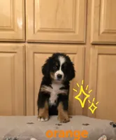 processed/e11494be-843b-42f1-a857-c2a6824a968c/listing/c2d839a1-0a2b-40e4-bf33-06305bcfeaab/ef92e141-e3b4-4029-b891-2af551693cfb