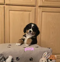 processed/e11494be-843b-42f1-a857-c2a6824a968c/listing/d3d5a16b-81bb-4c6a-a7e7-1e621a708de6/abf38aea-7a70-4499-9343-455ad8d97d4e