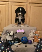 processed/e11494be-843b-42f1-a857-c2a6824a968c/listing/d3d5a16b-81bb-4c6a-a7e7-1e621a708de6/b5d92fd1-dfde-4ee2-9c76-3a27d4c6fd0b