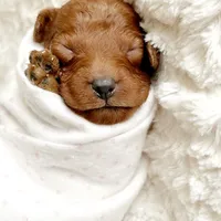 processed/e116609f-6b80-401c-8dc8-d6ef76a7de47/facility/7e260c4f-4c55-4d82-af44-cf48268d4cd2