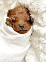 processed/e116609f-6b80-401c-8dc8-d6ef76a7de47/facility/7e260c4f-4c55-4d82-af44-cf48268d4cd2