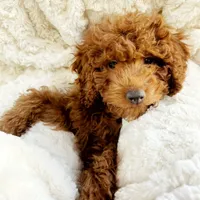 processed/e116609f-6b80-401c-8dc8-d6ef76a7de47/facility/bdf7fef6-395d-4f58-a62e-f91945b9ce9f