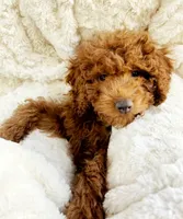 processed/e116609f-6b80-401c-8dc8-d6ef76a7de47/facility/bdf7fef6-395d-4f58-a62e-f91945b9ce9f