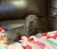 processed/e1177752-412e-4a31-9054-b130c42c11e0/listing/16b6a4dc-e4a1-496e-a0ae-9669dd046caf/b8a45187-ce3a-4560-af26-18896cfebfb8