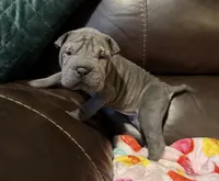 processed/e1177752-412e-4a31-9054-b130c42c11e0/listing/16b6a4dc-e4a1-496e-a0ae-9669dd046caf/c3f8cd86-75cb-494b-a992-1ad41f93285a