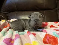 processed/e1177752-412e-4a31-9054-b130c42c11e0/listing/16b6a4dc-e4a1-496e-a0ae-9669dd046caf/fd5932a6-aa4a-435c-8319-e648fc7e3076