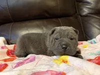 processed/e1177752-412e-4a31-9054-b130c42c11e0/listing/22ff9042-08a8-4c33-b259-45cf6d2b4d46/2a3bee57-31d0-4ce3-91be-51698532b251