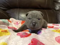 processed/e1177752-412e-4a31-9054-b130c42c11e0/listing/22ff9042-08a8-4c33-b259-45cf6d2b4d46/355badf2-aca4-4abb-b653-0121805a3e63