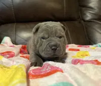 processed/e1177752-412e-4a31-9054-b130c42c11e0/listing/22ff9042-08a8-4c33-b259-45cf6d2b4d46/9e454b79-da80-433d-902d-a7eea73aa8b7