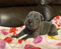 processed/e1177752-412e-4a31-9054-b130c42c11e0/listing/3841736b-07dc-46c8-8d6b-26cd0787c9e0/a0156584-2905-4eb1-87f1-e1a1e663c50c