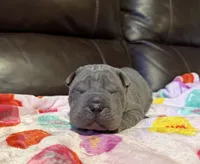 processed/e1177752-412e-4a31-9054-b130c42c11e0/listing/3841736b-07dc-46c8-8d6b-26cd0787c9e0/dca1f082-1dc5-4bc2-a7f8-2cb3ae5c8cbe