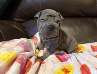 processed/e1177752-412e-4a31-9054-b130c42c11e0/listing/751c54e6-b416-45ef-b6c2-890eaaa7a808/63828e6b-0fbd-4070-bf55-28844fdf3d97