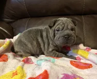 processed/e1177752-412e-4a31-9054-b130c42c11e0/listing/81cd75d2-0e83-42a2-8a94-e2c4c7d55e91/125c59f4-e9fc-4ad4-be87-dc123bd98c7a