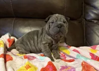 processed/e1177752-412e-4a31-9054-b130c42c11e0/listing/81cd75d2-0e83-42a2-8a94-e2c4c7d55e91/6dc57f98-2dad-4fd6-8d46-7bd8e388c57f