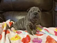 processed/e1177752-412e-4a31-9054-b130c42c11e0/listing/81cd75d2-0e83-42a2-8a94-e2c4c7d55e91/c9104ed3-3576-40a7-a84c-d2d7ace913bf