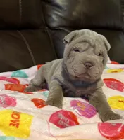 processed/e1177752-412e-4a31-9054-b130c42c11e0/listing/af8ef4c8-aaf0-4283-9c78-800d4e228391/075bce5d-f66d-40a2-8ec0-43ad1c666786