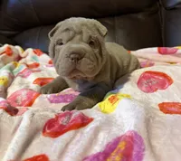 processed/e1177752-412e-4a31-9054-b130c42c11e0/listing/af8ef4c8-aaf0-4283-9c78-800d4e228391/2ab9cdf4-c1c2-41f9-851e-9cb1472aae4d