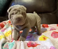 processed/e1177752-412e-4a31-9054-b130c42c11e0/listing/af8ef4c8-aaf0-4283-9c78-800d4e228391/69b48ad0-6f1f-4490-ae8c-2c59ca46c543