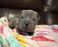 processed/e1177752-412e-4a31-9054-b130c42c11e0/listing/b67af394-2bd0-4515-bdea-f872cd31a3a3/4173c587-76c6-43f5-92ce-0495ec10b89e