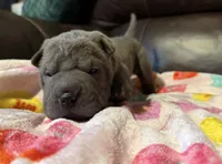 processed/e1177752-412e-4a31-9054-b130c42c11e0/listing/b67af394-2bd0-4515-bdea-f872cd31a3a3/5d92541e-739c-44bf-baa1-641842c09833