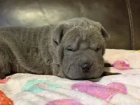 processed/e1177752-412e-4a31-9054-b130c42c11e0/listing/b67af394-2bd0-4515-bdea-f872cd31a3a3/b56282b8-8839-4ce8-a82b-83ac905f824f