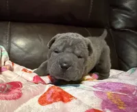 processed/e1177752-412e-4a31-9054-b130c42c11e0/listing/b67af394-2bd0-4515-bdea-f872cd31a3a3/d128c510-55fd-47b0-aac5-ad265abd6b51