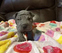 processed/e1177752-412e-4a31-9054-b130c42c11e0/listing/b805e827-22f3-40ef-9dc7-8b50076fa2a6/0c8d713b-634e-4639-8957-f9c62332bc25