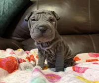 processed/e1177752-412e-4a31-9054-b130c42c11e0/listing/b805e827-22f3-40ef-9dc7-8b50076fa2a6/27610a13-f337-4df0-a4a8-e7ac5946e58a