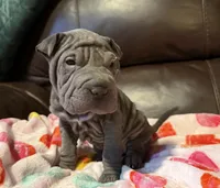 processed/e1177752-412e-4a31-9054-b130c42c11e0/listing/b805e827-22f3-40ef-9dc7-8b50076fa2a6/9d1a4bf5-1620-4b5b-ad46-d6c8ae5fb396