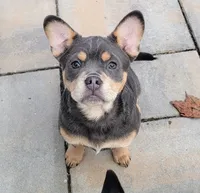 processed/e1256141-1e12-496b-82ae-f09bf0457dd6/facility/65ef88e8-8765-44a0-8f77-1451d4b7167f