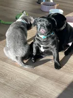 processed/e1256141-1e12-496b-82ae-f09bf0457dd6/facility/fb50d835-c58c-4565-8f8c-cfb0d0ad14bf