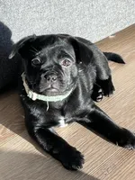 processed/e1256141-1e12-496b-82ae-f09bf0457dd6/listing/c0d78dee-40ad-45ce-a0ec-28c60da27ea0/06fed9be-eada-413f-8257-e51d4a473c02