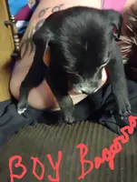 processed/e128245d-09d5-44d3-af18-ecfbb2121f61/listing/320401de-a028-44f6-8c6c-50ed97e16bbf/aca7e30d-cafd-4c3a-856d-994340a3767d