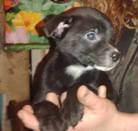 processed/e128245d-09d5-44d3-af18-ecfbb2121f61/listing/320401de-a028-44f6-8c6c-50ed97e16bbf/c016779a-d917-43f6-96a1-91400623fcee