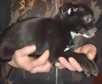 processed/e128245d-09d5-44d3-af18-ecfbb2121f61/listing/320401de-a028-44f6-8c6c-50ed97e16bbf/f458863b-c79d-4db6-8a39-45f2c00cc3f4