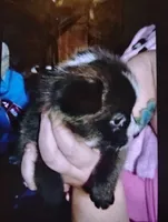 processed/e128245d-09d5-44d3-af18-ecfbb2121f61/listing/8a2b6cc3-f0d5-4bdb-a434-ef74cd473b8a/30000361-1c99-4474-b660-cfcc3e3ad6ca