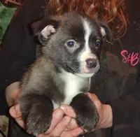 processed/e128245d-09d5-44d3-af18-ecfbb2121f61/listing/8a2b6cc3-f0d5-4bdb-a434-ef74cd473b8a/bef72a2e-2e58-4791-b492-36a5ae21fa5e