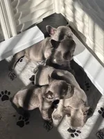 processed/e12c52ba-8918-4add-8854-8d1d56c13c57/facility/0de2516d-c576-4847-b075-f2fa52c9563a