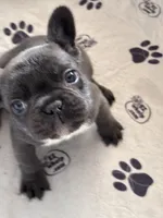 processed/e12c52ba-8918-4add-8854-8d1d56c13c57/facility/139103a5-ed60-4071-8669-bf71100291cc