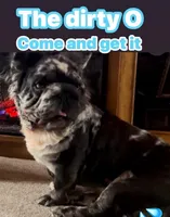 processed/e12c52ba-8918-4add-8854-8d1d56c13c57/facility/4af51847-d844-4617-92e0-2fabdd6f3216